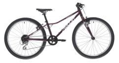 AMULET 24 Tomcat SH, royal purple/silver, 2024