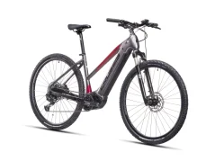 Crussis e-Cross low 9.10-(720 Wh)