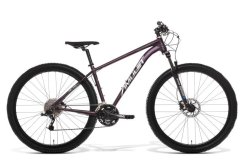 AMULET 29 Night cat 2.0 SH, royal purple/white, 2024